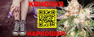 гашик Краснознаменск