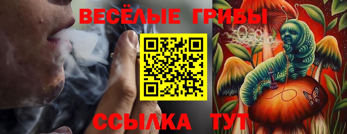Псилоцибиновые грибы GOLDEN TEACHER  Псилоцибиновые грибы Psilocybine cubensis  Киселёвск  Вход с VPN 