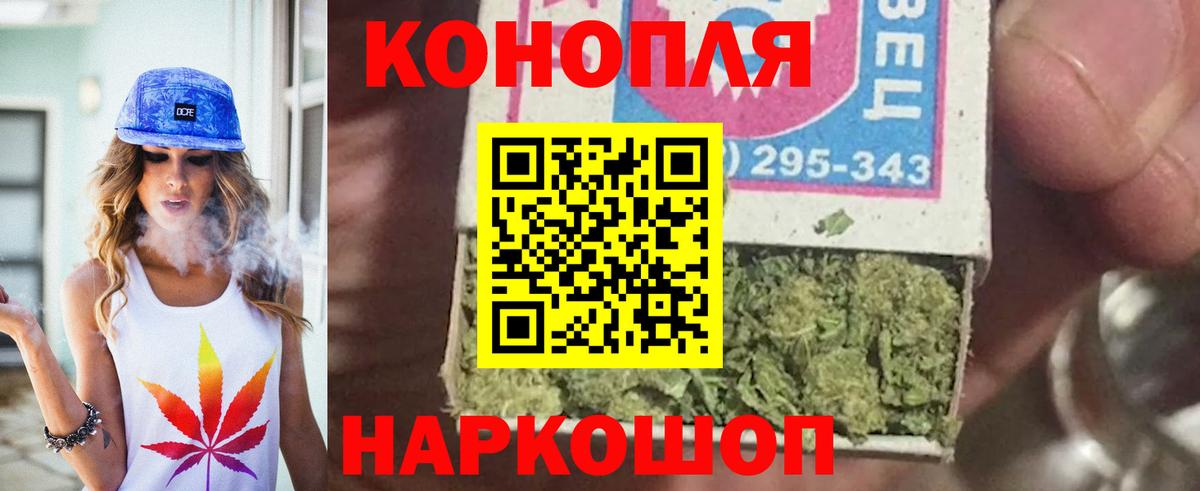 Киселёвск  Конопля сатива  Вход с VPN  Конопля MAZAR 